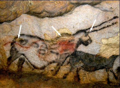 本当に2万年前とは思えない 世界遺産ラスコー展 はクロマニョン人のハイレベルなアートが驚きでした あいむあらいぶ