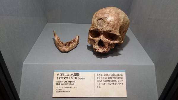 f:id:hisatsugu79:20161102105507j:plain