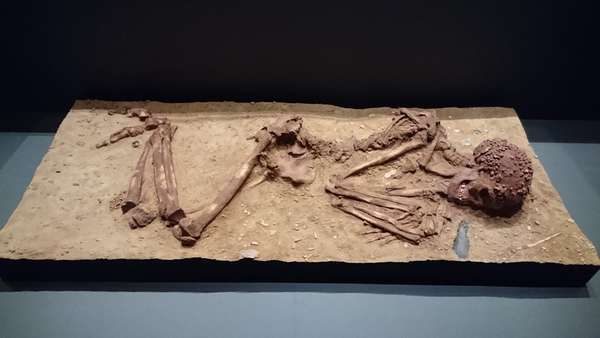 f:id:hisatsugu79:20161102105537j:plain