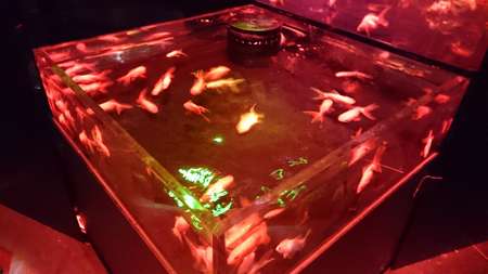 f:id:hisatsugu79:20170710163754j:plain f:id:hisatsugu79:20170710163754j:plain