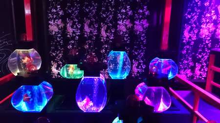 f:id:hisatsugu79:20170710163900j:plain f:id:hisatsugu79:20170710163900j:plain