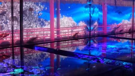 f:id:hisatsugu79:20170710164254j:plain f:id:hisatsugu79:20170710164254j:plain