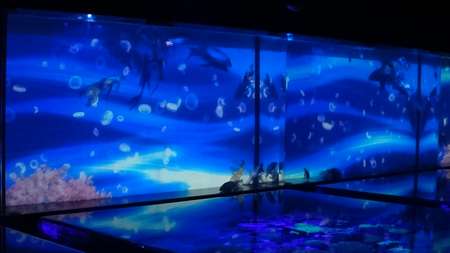 f:id:hisatsugu79:20170710164329j:plain f:id:hisatsugu79:20170710164329j:plain