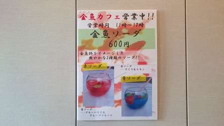 f:id:hisatsugu79:20170710171546j:plain f:id:hisatsugu79:20170710171546j:plain