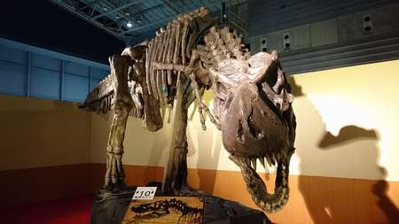 f:id:hisatsugu79:20170721090742j:plain