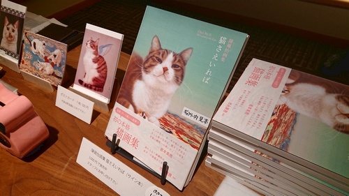 f:id:hisatsugu79:20181112202515j:plain
