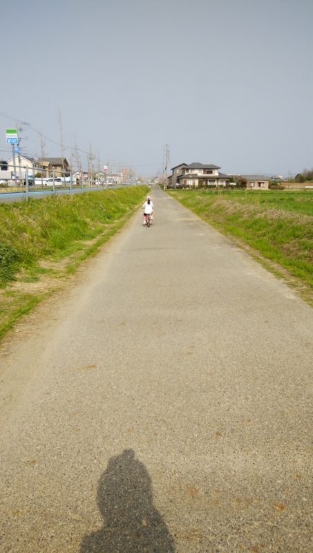 f:id:hisayo803:20180329144653j:image