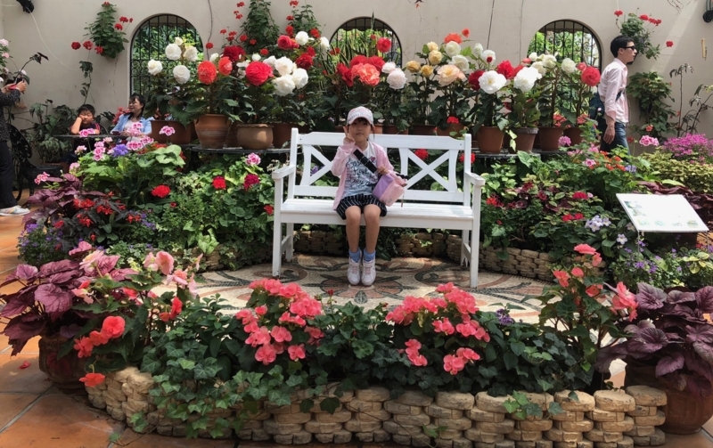 f:id:hisayo803:20180502080420j:image