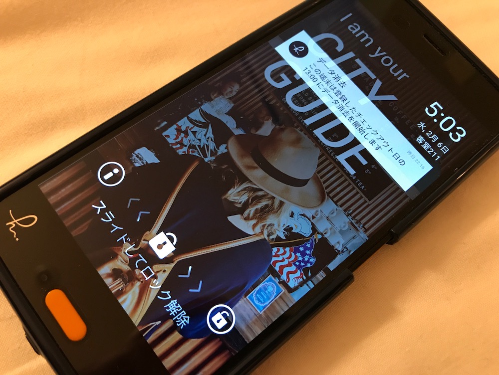 f:id:hishi07:20190206050347j:plain