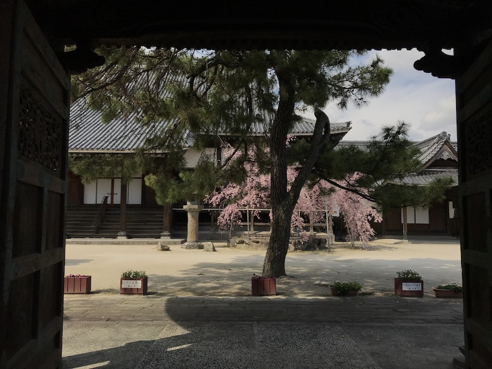 願正寺　2019.3