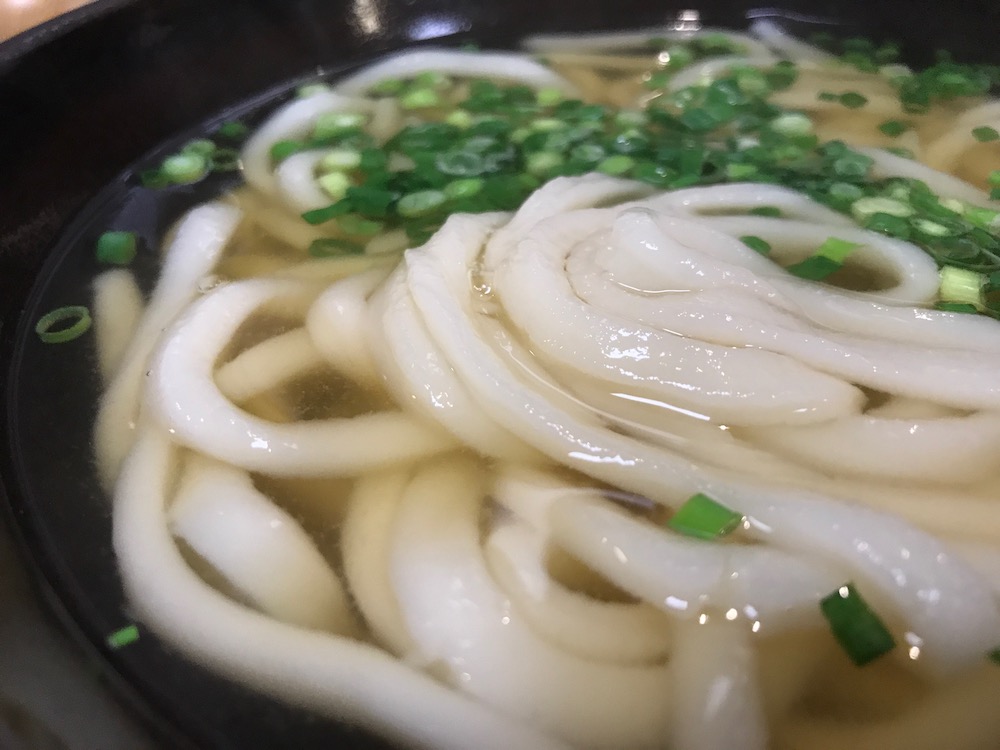 人力うどん かけうどん 240円