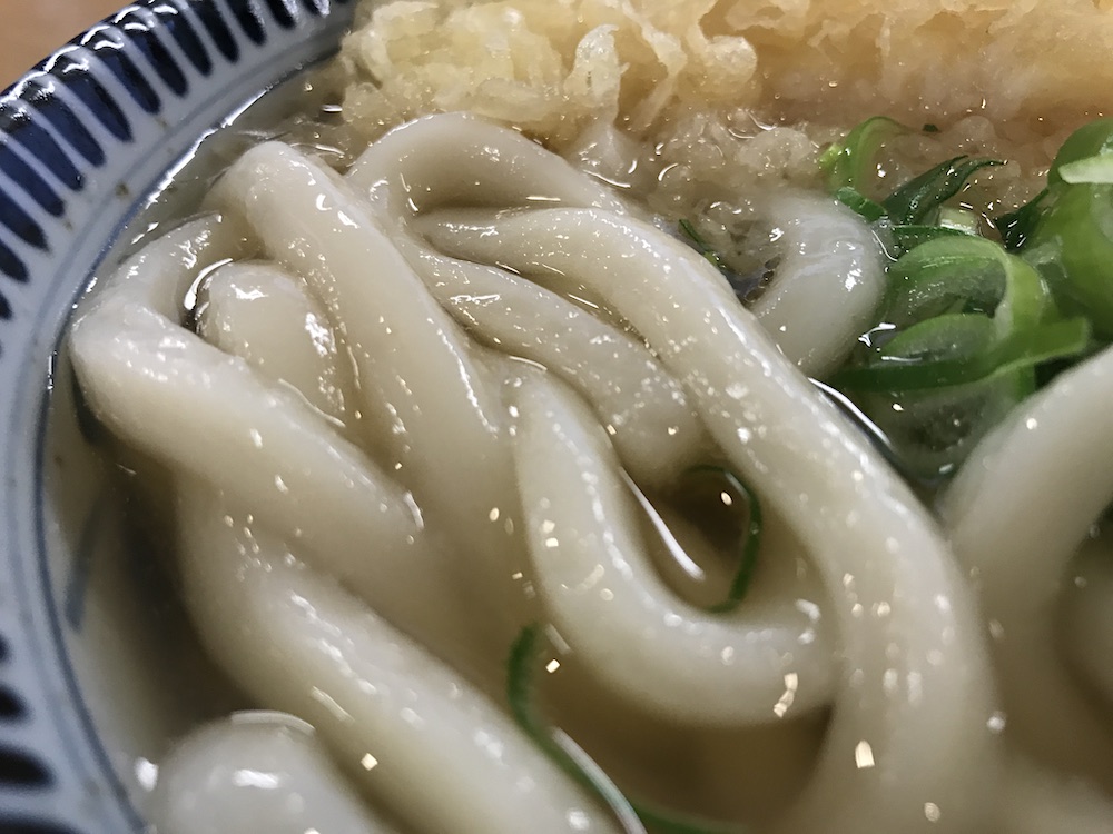 吉屋うどん　うどんアップ