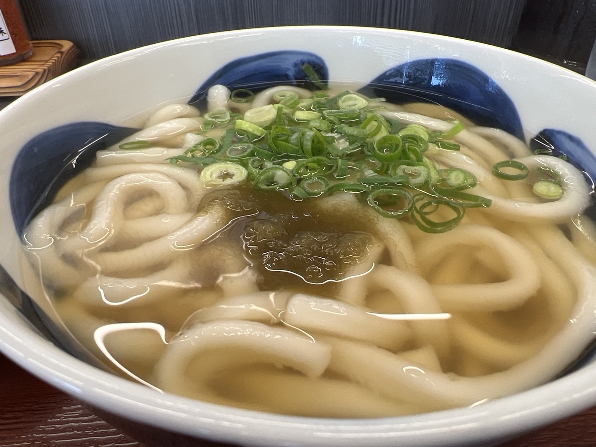柳川　華新うどん　かけうどん