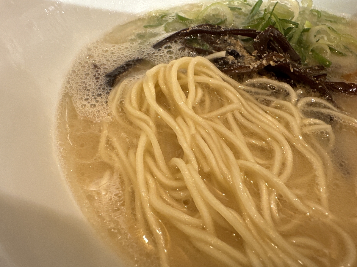 ケンボーラーメン　ラーメン　麺