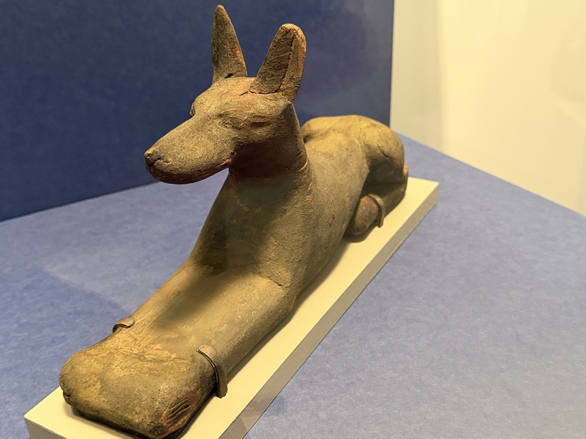 ブルックリン博物館所蔵 特別展 古代エジプト　ジャッカルの伏臥像