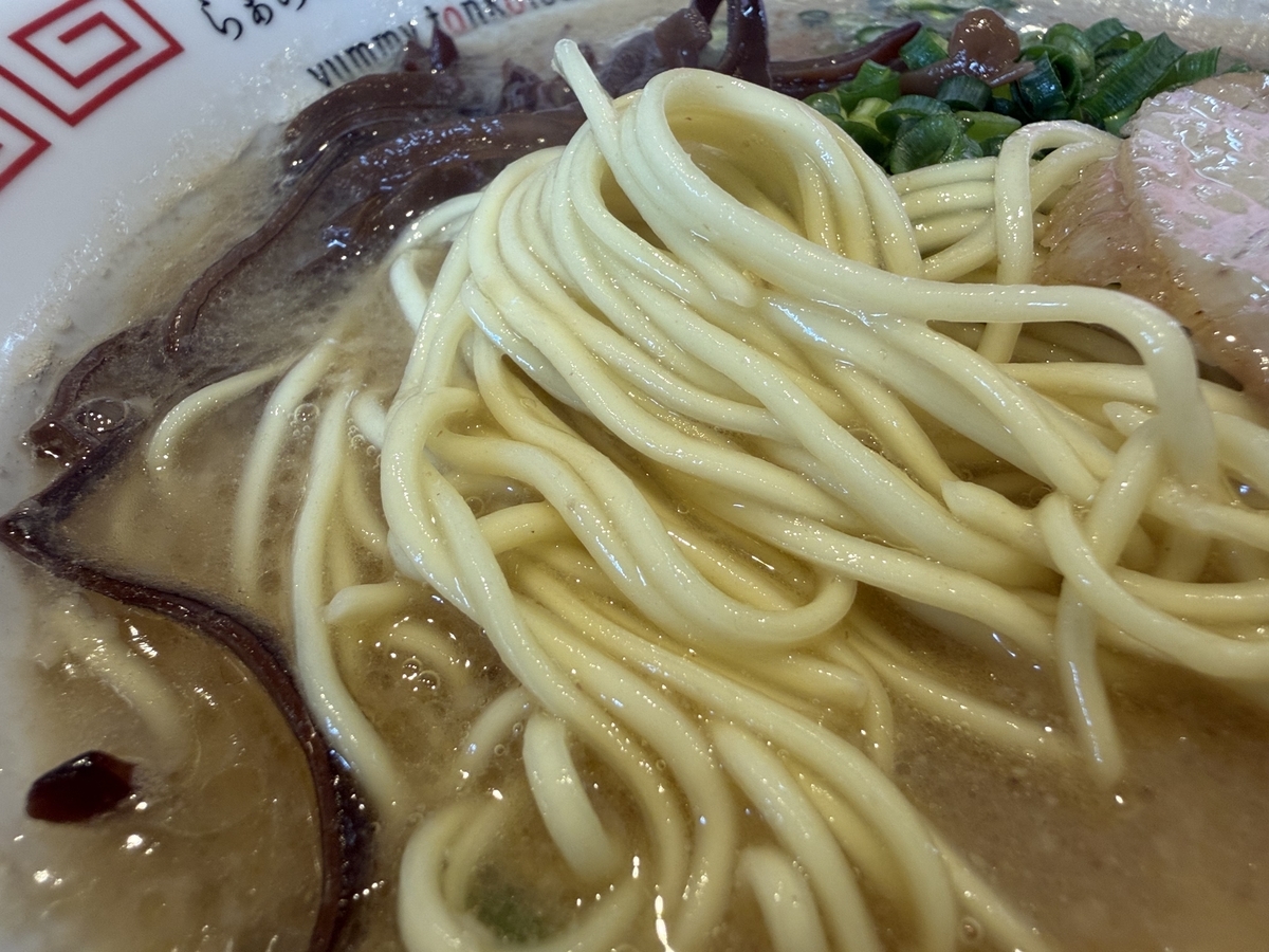 らぁめん食堂　からもり　ラーメン　麺