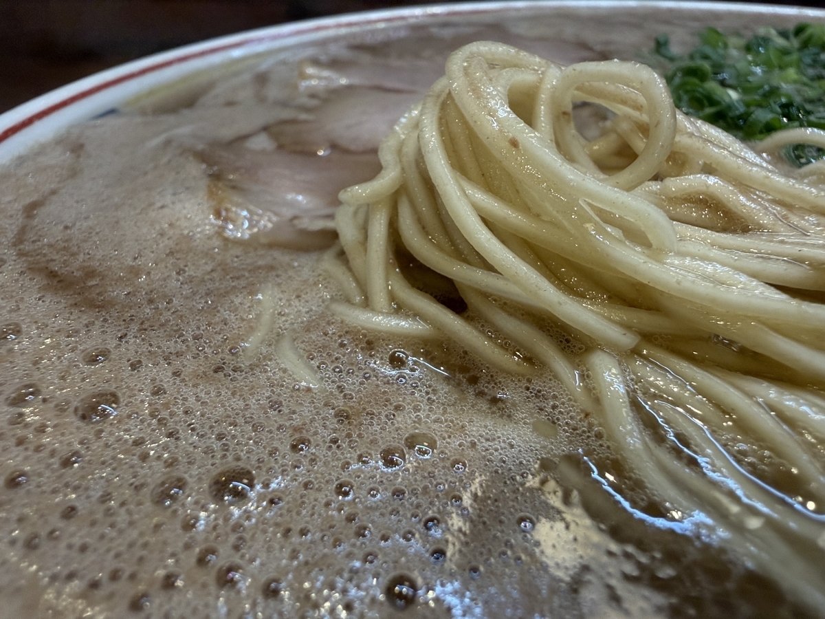 博多だるま5号線　ラーメン　麺