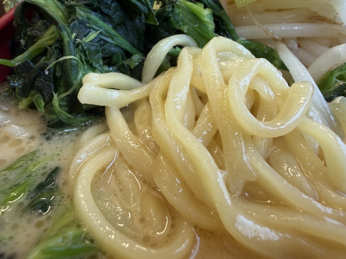 龍馬家大財店　野菜ラーメン　麺
