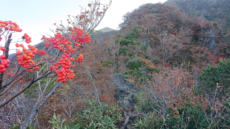 f:id:hishi101060:20211114002130j:plain