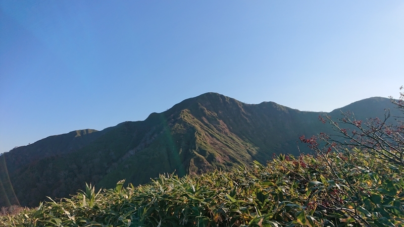 f:id:hishi101060:20211114054123j:plain