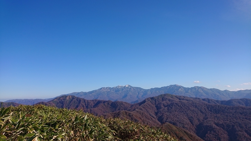 f:id:hishi101060:20211114060800j:plain