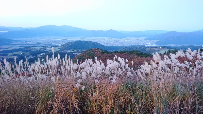 f:id:hishi101060:20211114083249j:plain