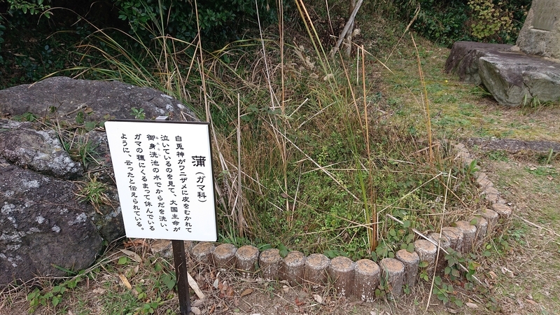 f:id:hishi101060:20220111192413j:plain