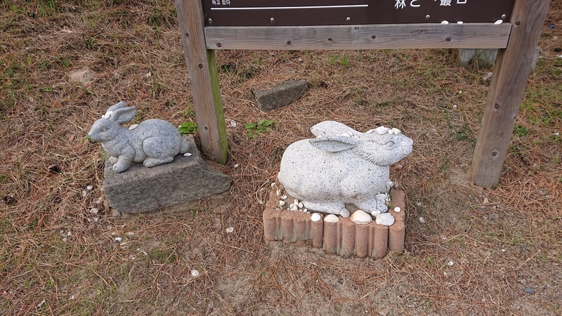 f:id:hishi101060:20220111192453j:plain