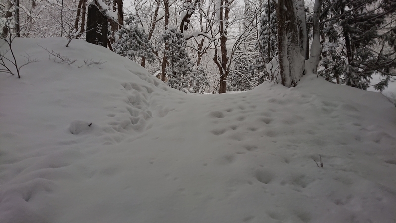 f:id:hishi101060:20220123041528j:plain