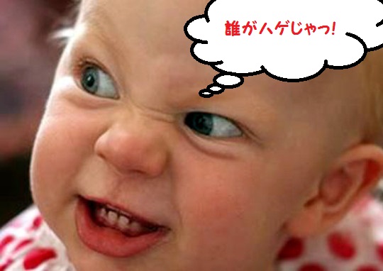 f:id:hishyakku02:20170712085620j:plain f:id:hishyakku02:20170712085620j:plain