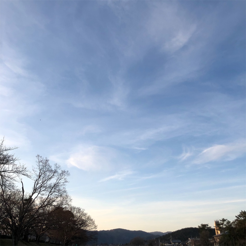 f:id:hisohisomaturi:20190310141527j:image