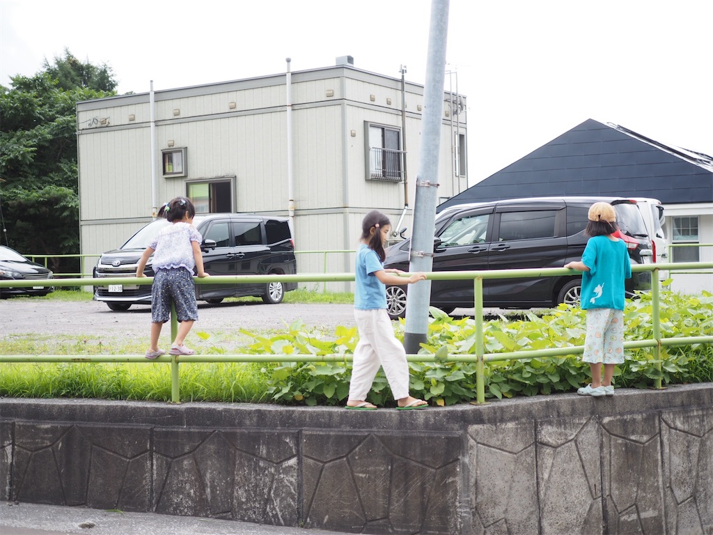 f:id:hisohisomaturi:20240806212354j:image