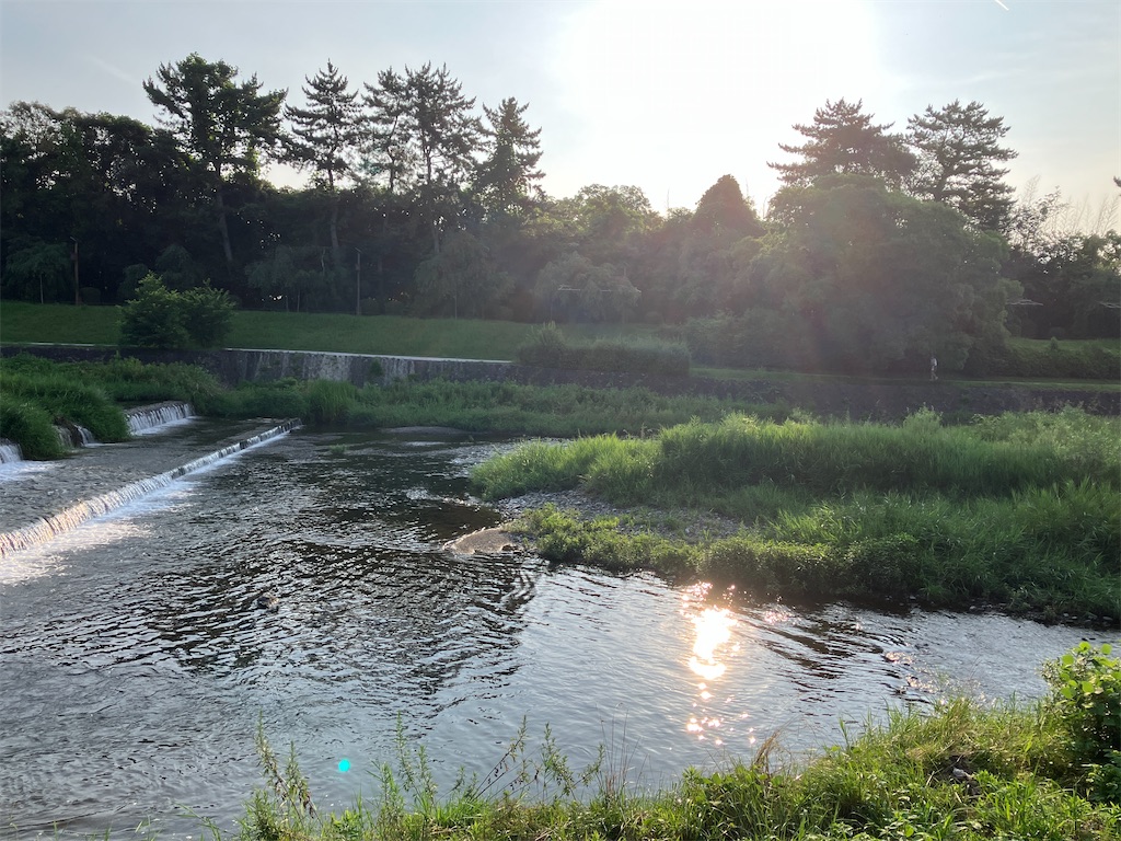 f:id:hisohisomaturi:20250707191725j:image