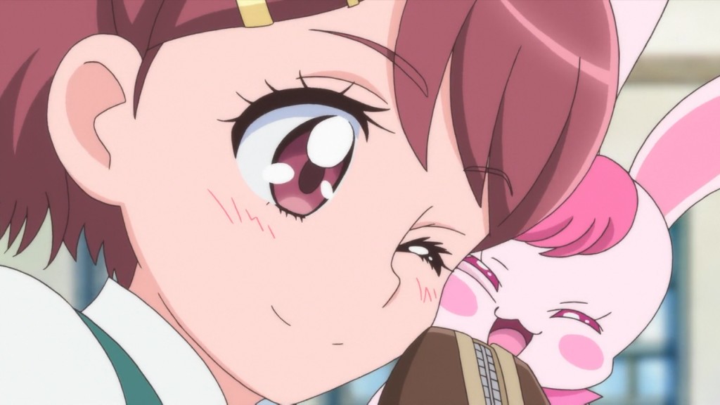 ヒーリングっど♥プリキュア 第15話 「初めてのケンカ…すれ違うのどか