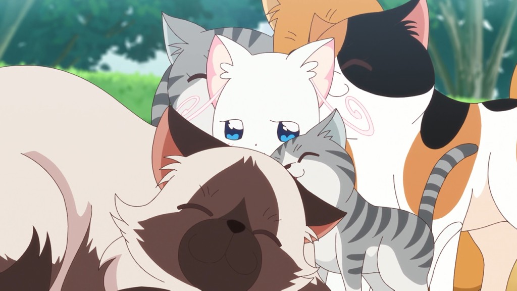 わんだふるぷりきゅあ！ 第34話 「ねこ、ネコ、猫集会」 感想 - 密やか