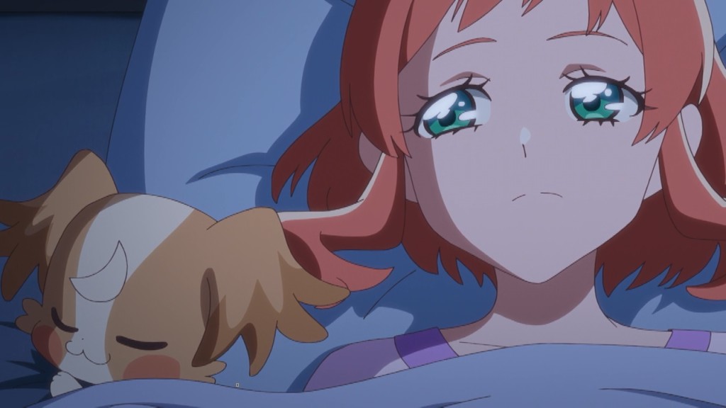 わんだふるぷりきゅあ! 第38話 「こむぎの帰る場所」 感想