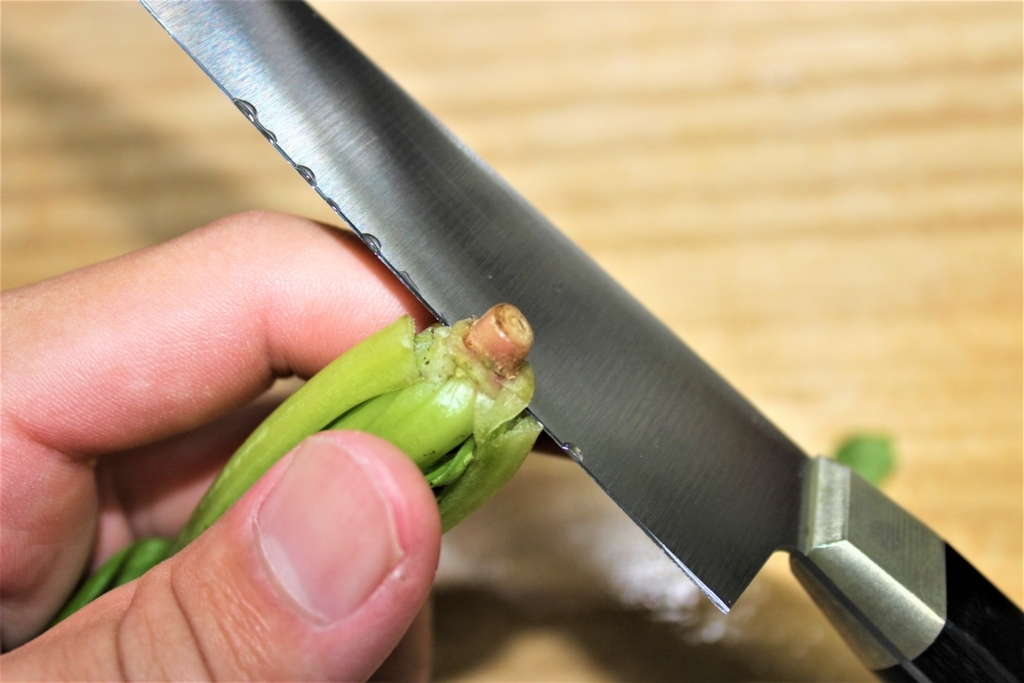 f:id:hissann:20170926122510j:plain