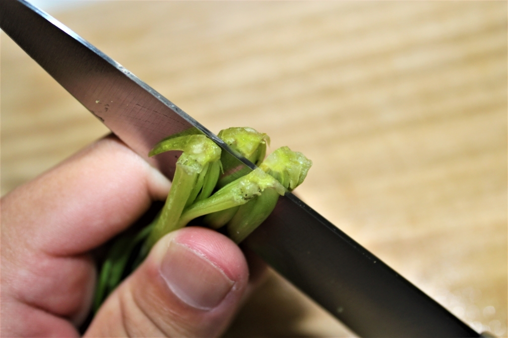 f:id:hissann:20170926122512j:plain