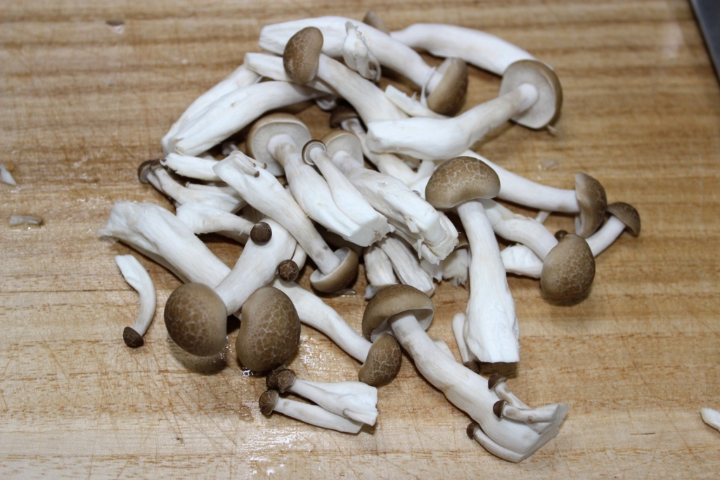 f:id:hissann:20180111185525j:plain