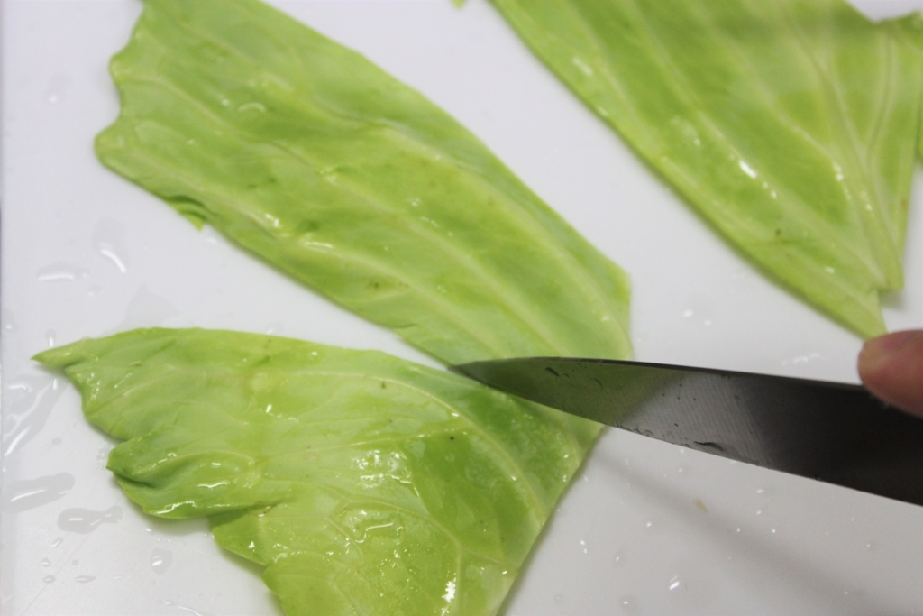 f:id:hissann:20180620181739j:plain