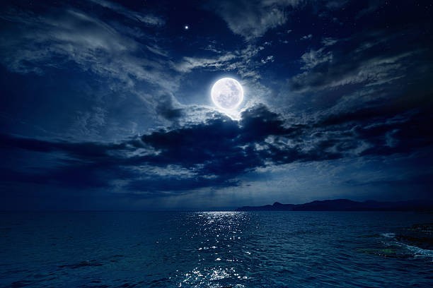 f:id:historyninjin:20250518004219j:image f:id:historyninjin:20250518004219j:image