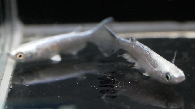 f:id:historynt-02bs:20210516152059j:plain