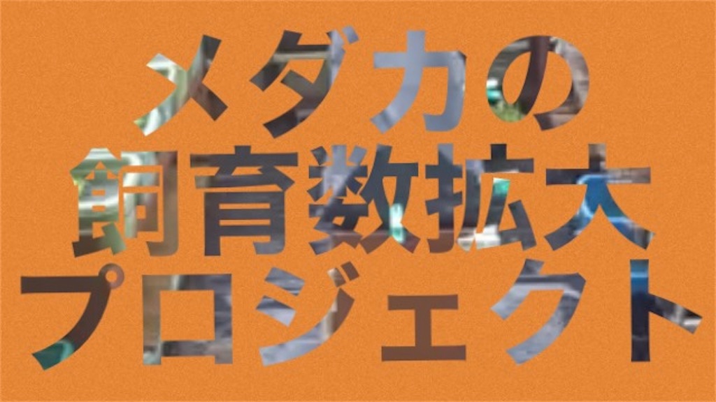 f:id:historynt-02bs:20210814151440j:image