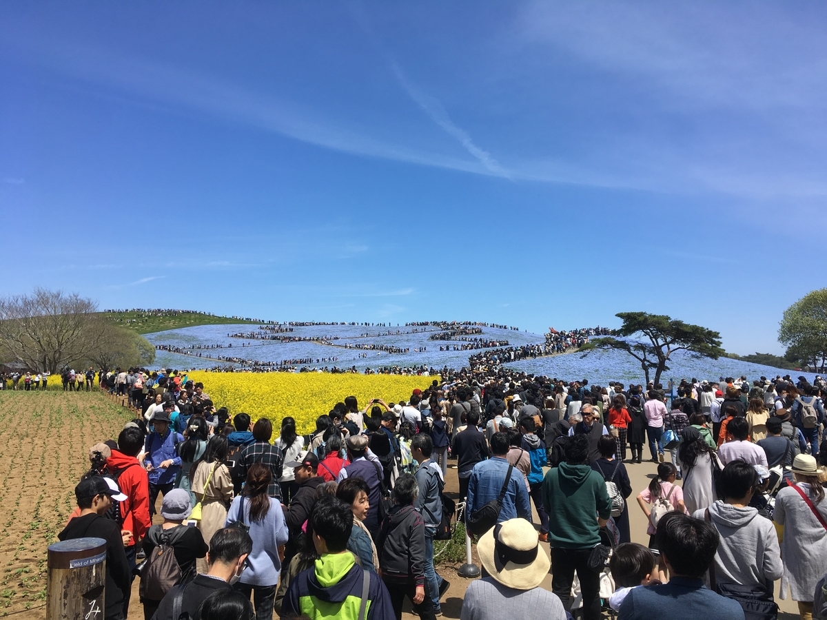 ひたちなか海浜公園 翠のくるまたび
