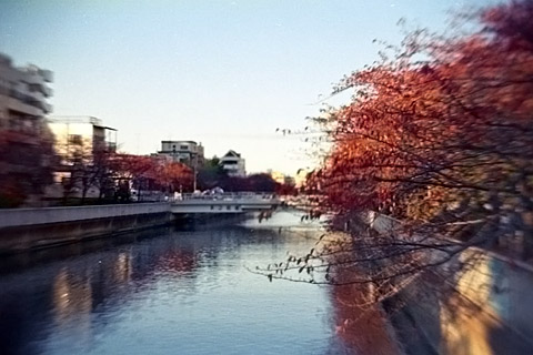 "画像
