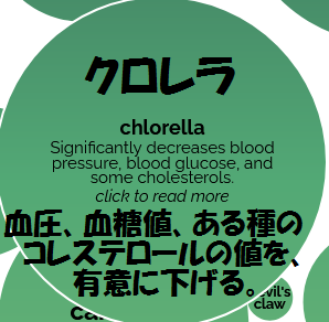 f:id:hit-us_con-cats:20210425050015p:plain