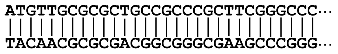 f:id:hit-us_con-cats:20210524063311p:plain