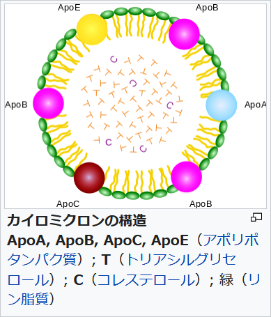 f:id:hit-us_con-cats:20210626061903p:plain