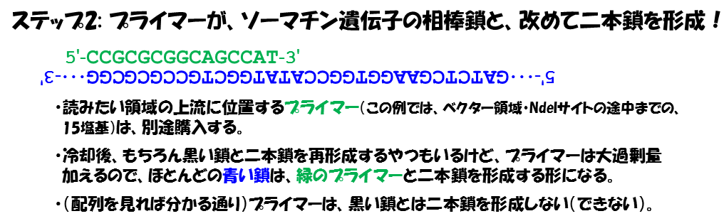 f:id:hit-us_con-cats:20210813063444p:plain