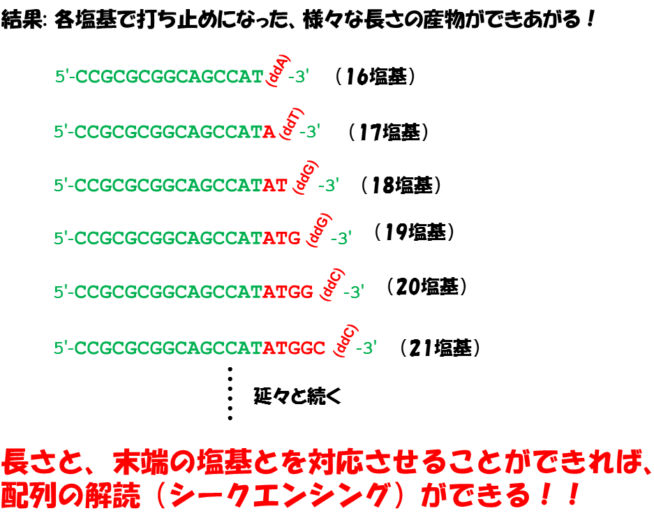 f:id:hit-us_con-cats:20210813064334p:plain